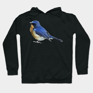 Blue Bird Digital Painting Hoodie